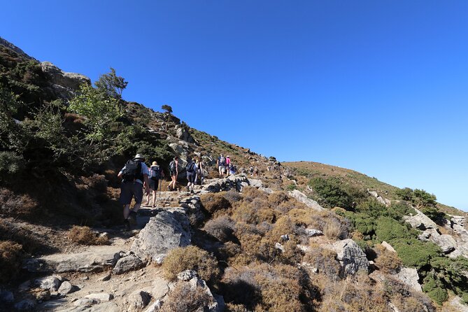 Naxos: Hike to the Top of the Cyclades - Mount Zas - Pickup, meeting details, and timing
