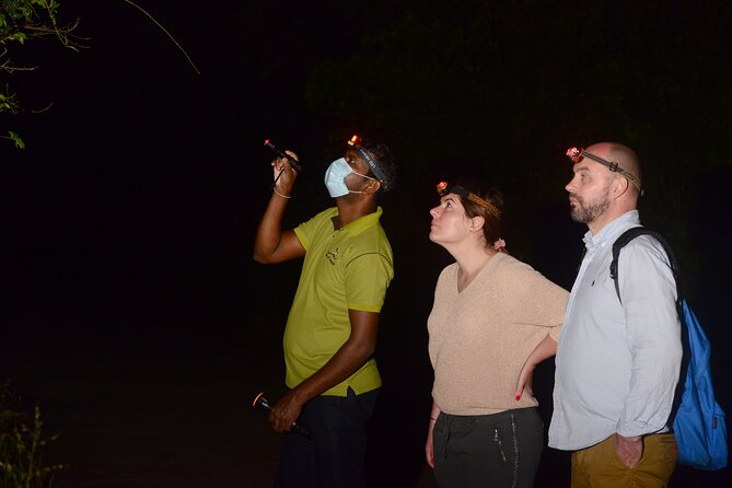 Night Hike to see Elusive & Rare Loris in Sigiriya - The Introduction Before the Walk
