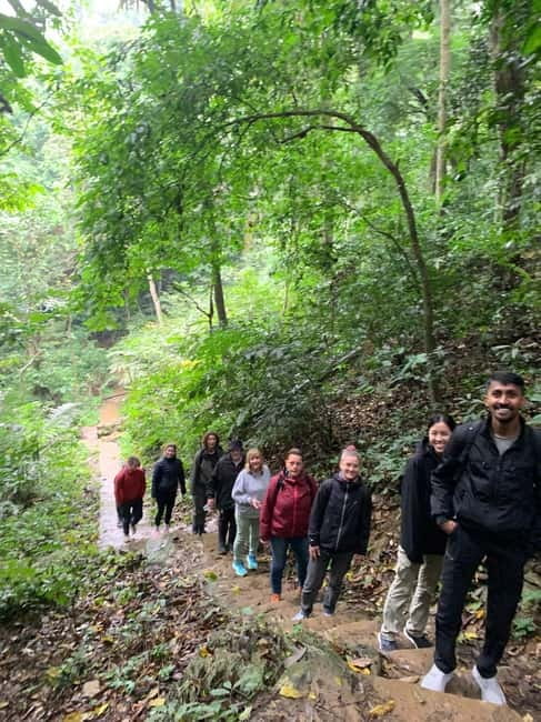 Ninh Binh: Cuc Phuong Jungle Hike & Wildlife Day Trip - The rainforest trail is gentle in places, rough in others