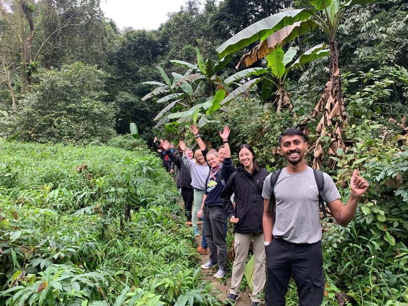 Ninh Binh: Cuc Phuong Jungle Hike & Wildlife Day Trip - The Prehistoric Cave adds stairs, bats, and a small adventure