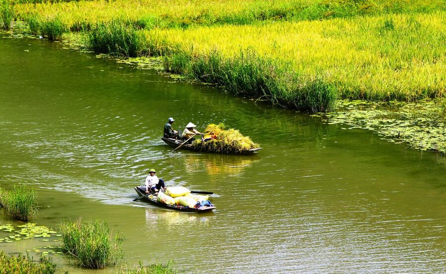 Ninh Binh: Hoa Lu, Trang An and Mua Caves Hiking Day Trip - Why this Ninh Binh day trip works