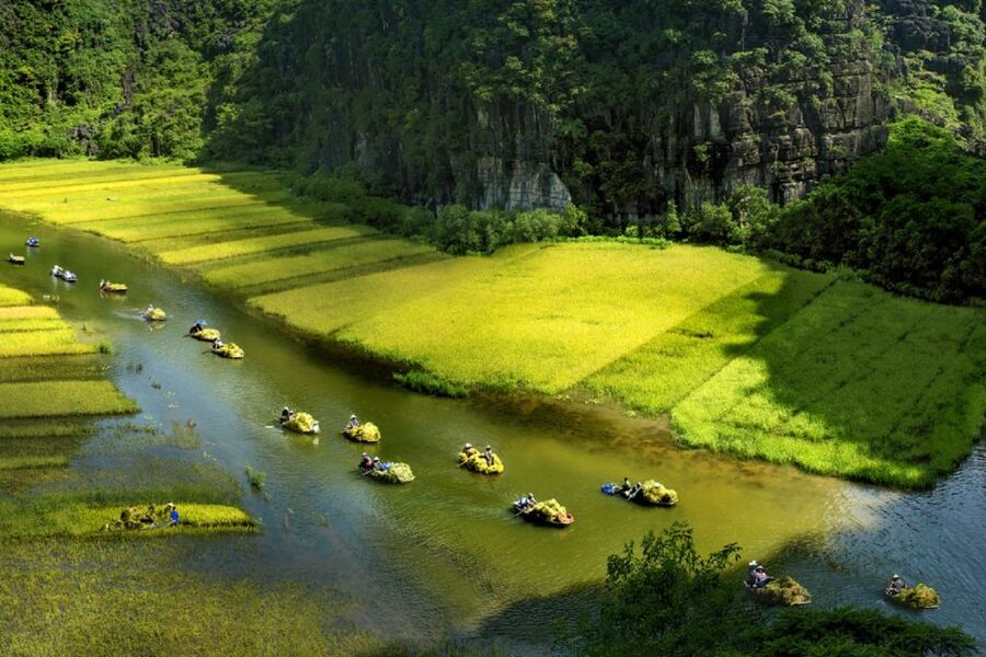 Ninh Binh: Hoa Lu, Trang An and Mua Caves Hiking Day Trip - Guides, communication, and the feel of the day
