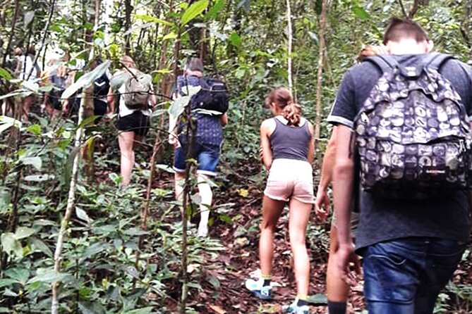 No.1 Chiang Mai: 3-Hour Monk Trail Hike to Wat Doi Suthep & Palad - Walking the Monk Trail instead of taking the easy road