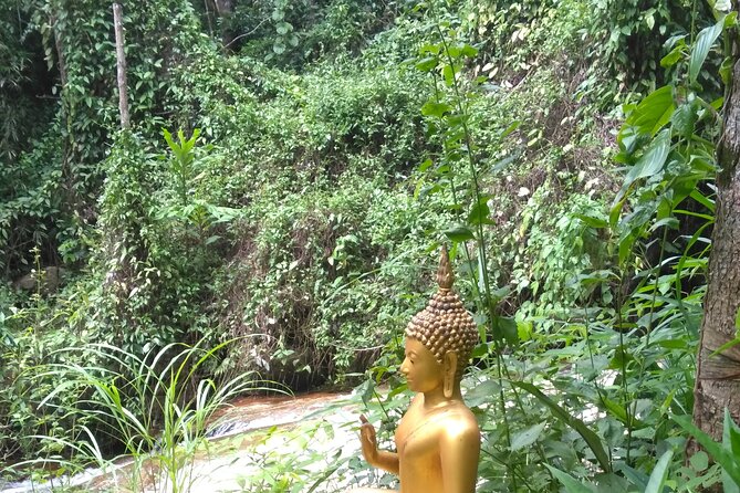 No.1 Chiang Mai: 3-Hour Monk Trail Hike to Wat Doi Suthep & Palad - How hard is the three-hour hike?