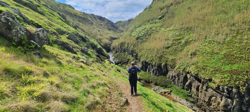 Nordeste/Northeast coast FULL DAY Waterfalls Hike - Key points to know before booking