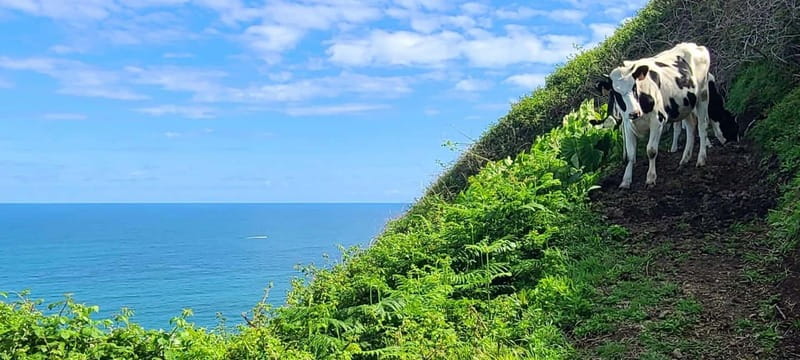 Nordeste/Northeast coast FULL DAY Waterfalls Hike - Why Nordeste makes a fine hiking day