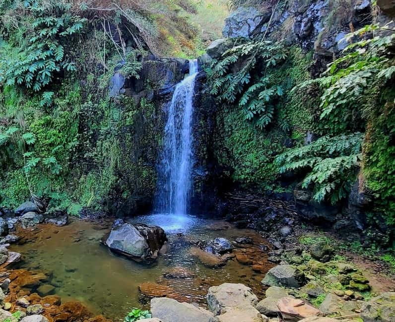 Nordeste/Northeast coast FULL DAY Waterfalls Hike - A guide-led day that adapts to weather