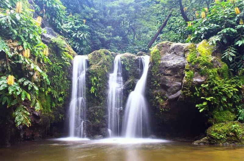 Nordeste/Northeast coast FULL DAY Waterfalls Hike - What the $141 price covers