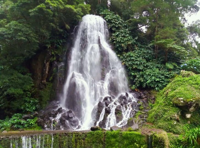 Nordeste/Northeast coast FULL DAY Waterfalls Hike - Who will enjoy this tour most
