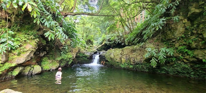 Nordeste/Northeast coast FULL DAY Waterfalls Hike - Starting with hotel pickup and the drive east