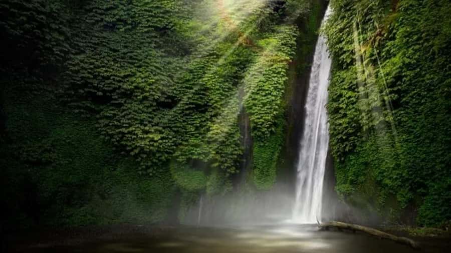 North Bali: Explore Munduk Waterfall Trekking Experience - Key points to know before booking