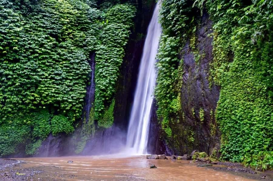 North Bali: Explore Munduk Waterfall Trekking Experience - Red Coral Waterfall and the first forest paths