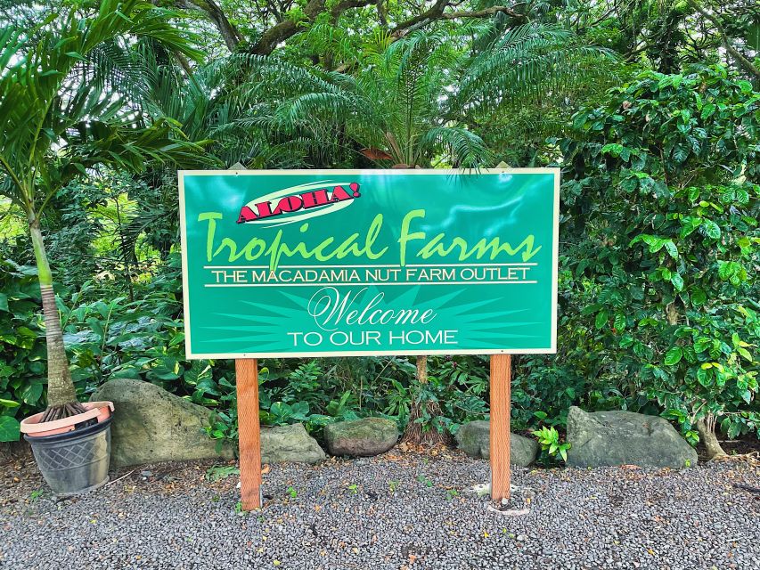 Oahu: Diamond Head Crater Hike and North Shore Experience - What the $125 price really covers