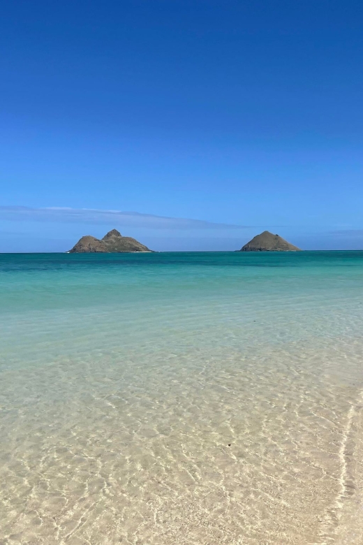 Oahu: Hidden Hawaii Waterfall Hike and Beach Tour - A short Oahu tour with a real change of scenery