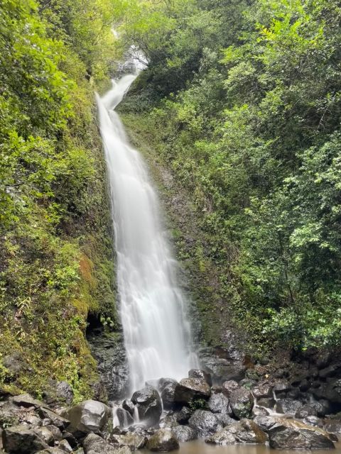 Oahu: Hidden Hawaii Waterfall Hike and Beach Tour - Likeke Falls, where the outing gets its adventure
