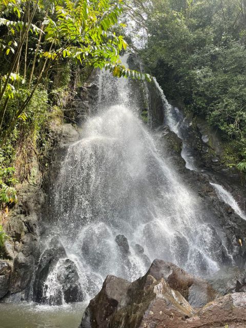 Oahu: Hidden Hawaii Waterfall Hike and Beach Tour - What the $145 price really covers
