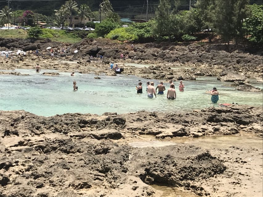 Oahu: Manoa Falls Hike and east side beach day - Small-group comfort and the long drive question