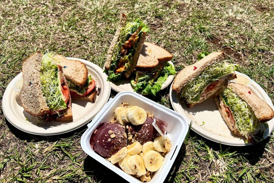 Oahu: Manoa Falls Waterfall Hike with Lunch and Transfers - Key points at a glance