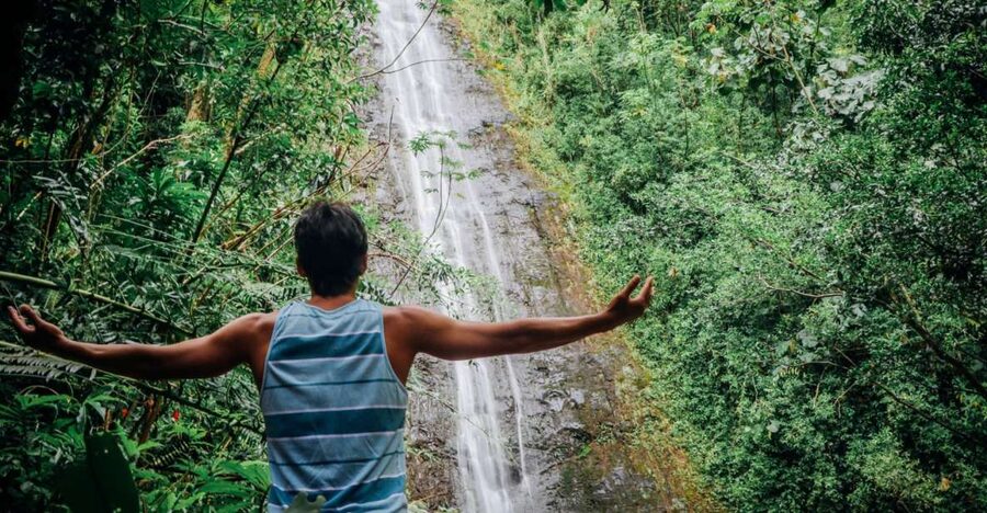 Oahu: Manoa Falls Waterfall Hike with Lunch and Transfers - A rainforest morning close to Waikiki