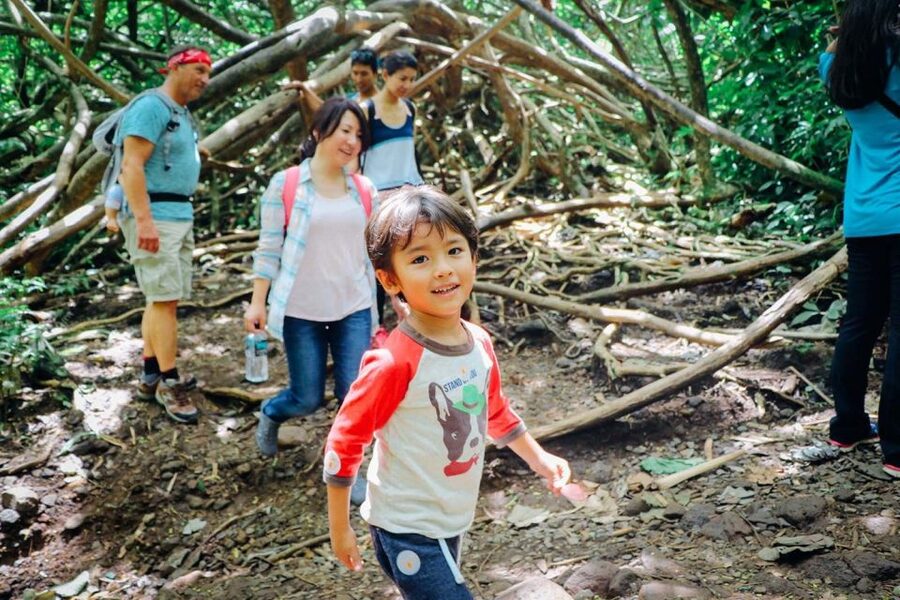 Oahu: Manoa Falls Waterfall Hike with Lunch and Transfers - The 150-foot Manoa Falls payoff