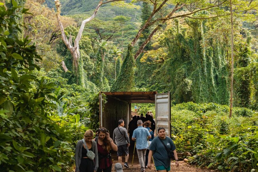 Oahu: Manoa Falls Waterfall Hike with Lunch and Transfers - From Waikiki to Manoa Valley