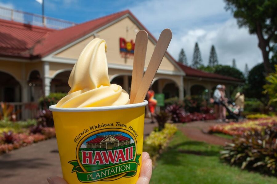 Oahu: Valley of Waimea Falls Swim & Hike with Lunch & Dole - Why Waimea Valley makes a strong Oahu day trip