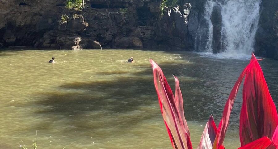Oahu: Valley of Waimea Falls Swim & Hike with Lunch & Dole - Lunch with a choice of wraps
