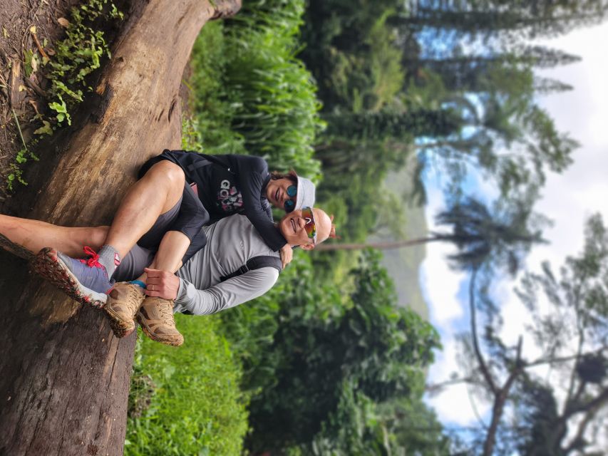 Oahu: Waikiki E-Bike Ride and Manoa Falls Hike - Who should book this Oʻahu e-bike tour?