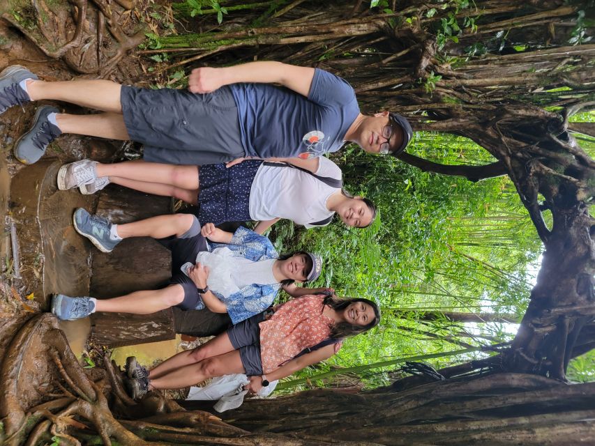 Oahu: Waikiki E-Bike Ride and Manoa Falls Hike - Practical details to get right