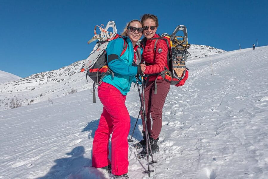 Odda: Trolltunga Winter Hike on Snowshoes - Snowy ridges, Tyssebotn, and the Ringedalen views