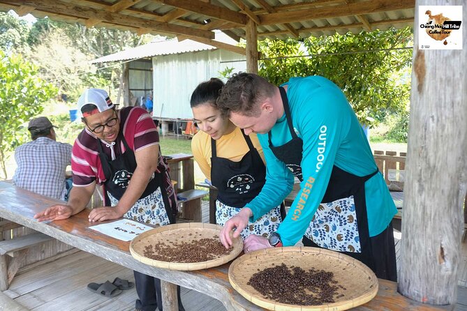 Off the Map Chiang Mai Jungle Coffee Trek Roast and Brew - Why this coffee trip feels different from a cafe tour