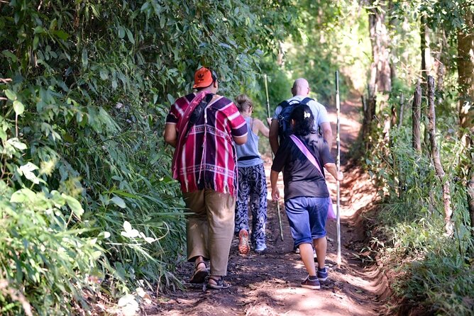 Off the Map Chiang Mai Jungle Coffee Trek Roast and Brew - Walking through coffee and medicinal plants