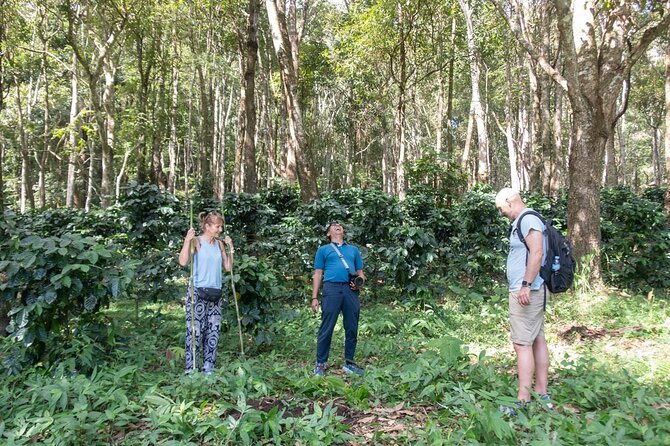 Off the Map Chiang Mai Jungle Coffee Trek Roast and Brew - Roasting your own beans over heat