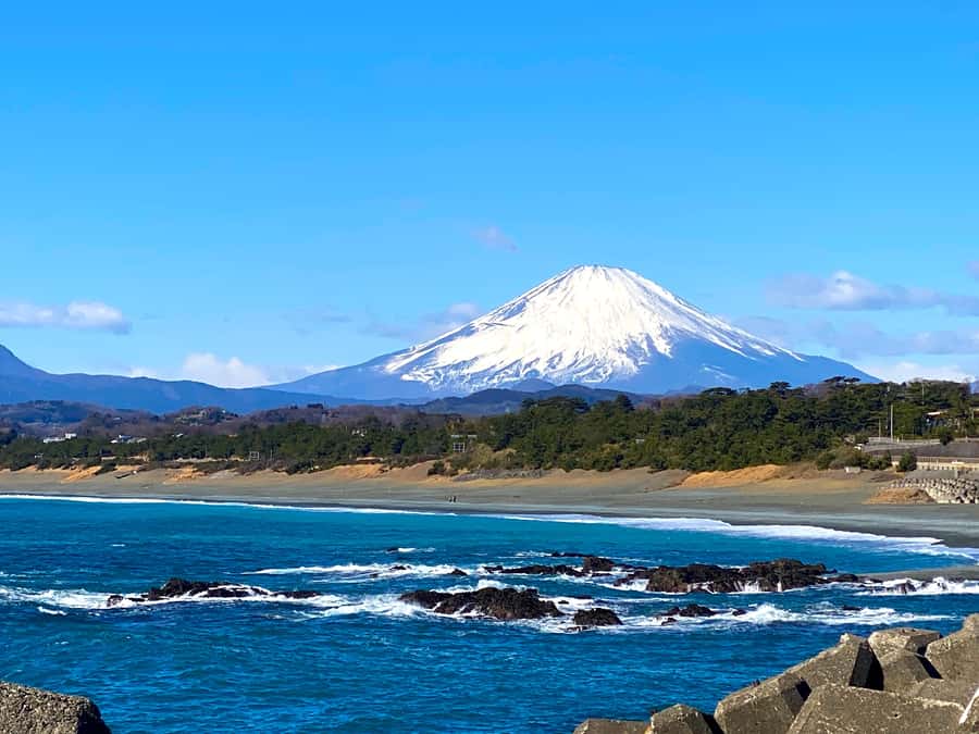 Oiso: Adventure Hike to See Mt. Fuji & Historic Coastal Walk - Lunch is flexible, local, and not included