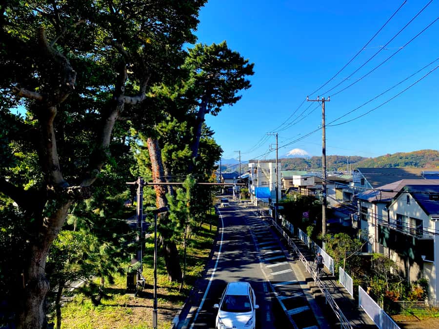 Oiso: Adventure Hike to See Mt. Fuji & Historic Coastal Walk - Meiji Memorial Garden and the villas of former leaders