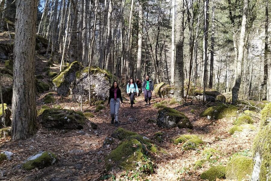 Olympus Highlights Hike - Enipeas river and the waterfalls