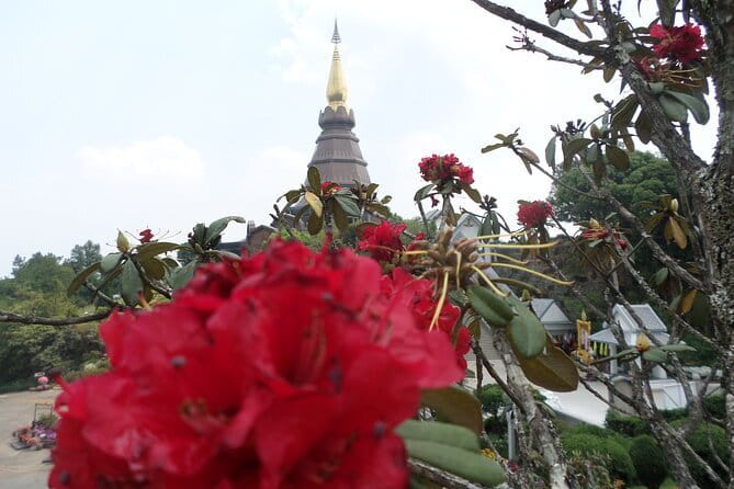 One day Doi Inthanon National Park & Trekking on Kew Mae Pan - A Hmong market adds a cultural stop