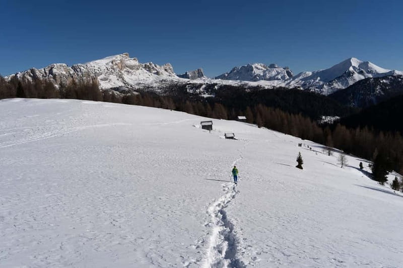 One day hike with snowshoes to discover Dolomites - Reading animal tracks in the snow