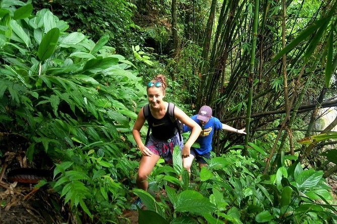 One Day Hiking and Elephant experience by Chiang Mai Elephant Home - Key points to know before booking