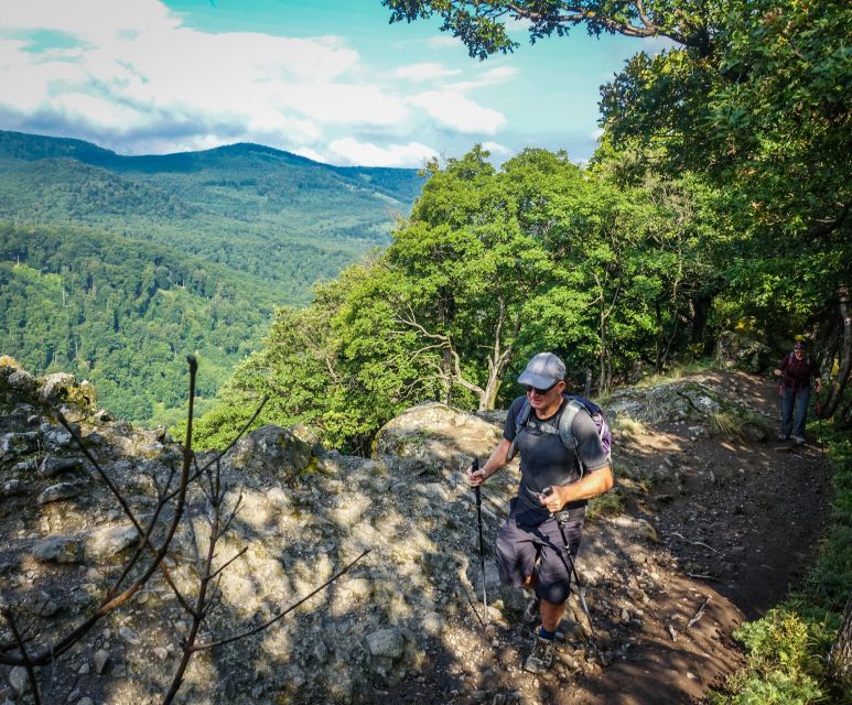 One Day Wonder Hike - The Essence of the Danube Bend - Key points to know before booking