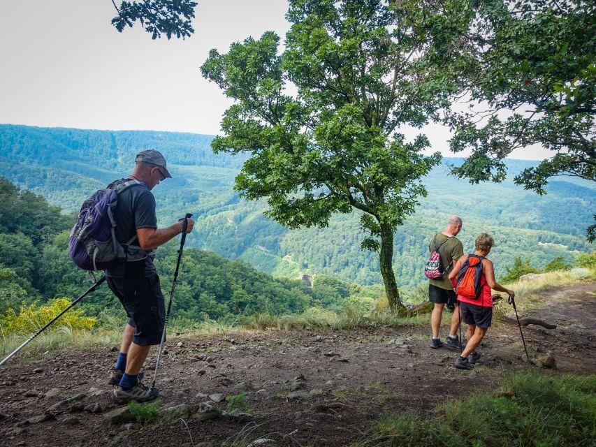 One Day Wonder Hike - The Essence of the Danube Bend - The steep start through the Visegradi Hills