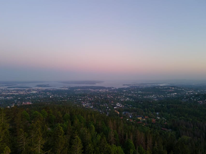 Oslo: Best View of the Oslofjord Hike - Frognerseteren opens the forest section