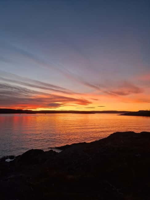 Oslo: Malmøya most beautiful Island Guided Hike-Waffle&Drink - What the three-hour schedule really feels like