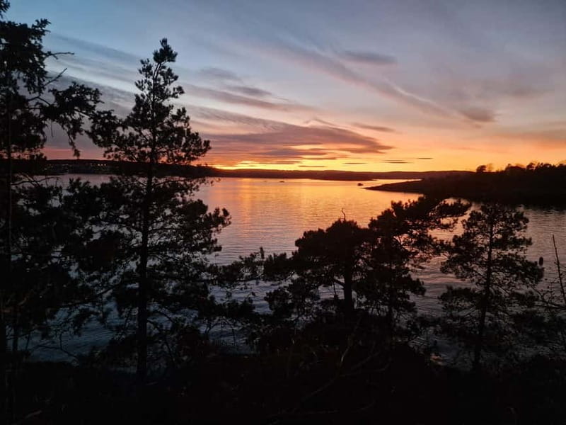 Oslo: Malmøya most beautiful Island Guided Hike-Waffle&Drink - Guide style and group size