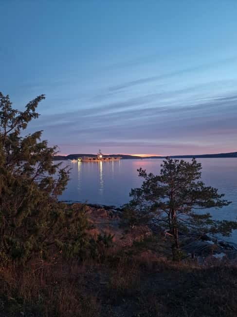 Oslo: Malmøya most beautiful Island Guided Hike-Waffle&Drink - Who should book this island walk?
