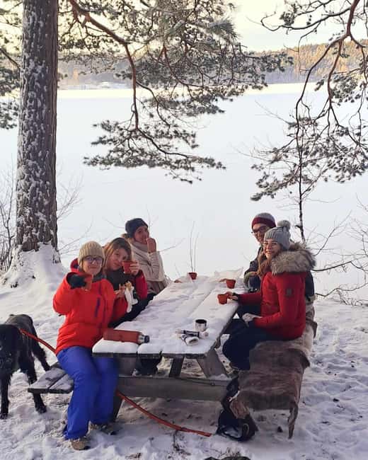 Oslo: Winter Wonderland Forest Hike and Campfire with a Dog - Why this forest trip feels different from Oslo sightseeing