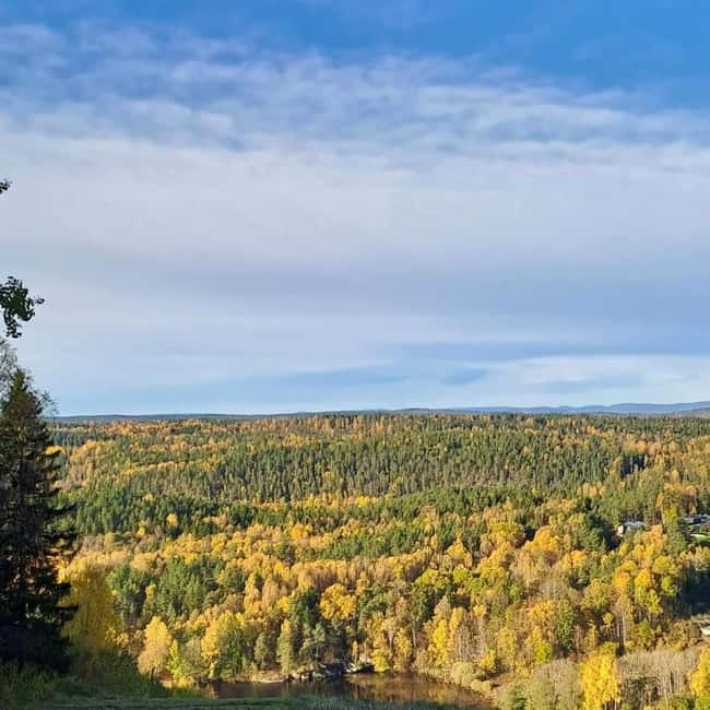Oslo: Winter Wonderland Forest Hike and Campfire with a Dog - Climbing to the first viewpoint