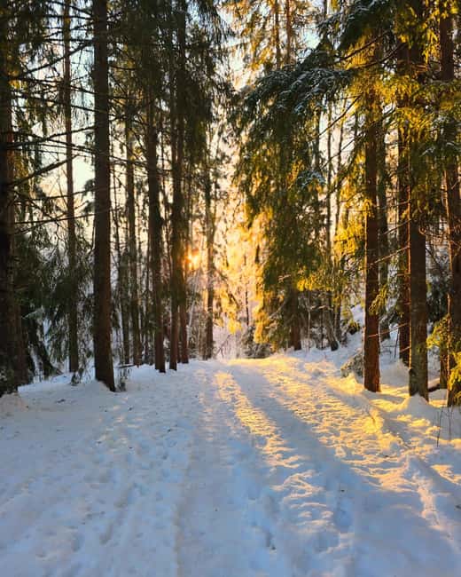 Oslo: Winter Wonderland Forest Hike and Campfire with a Dog - The lakeside campfire stop