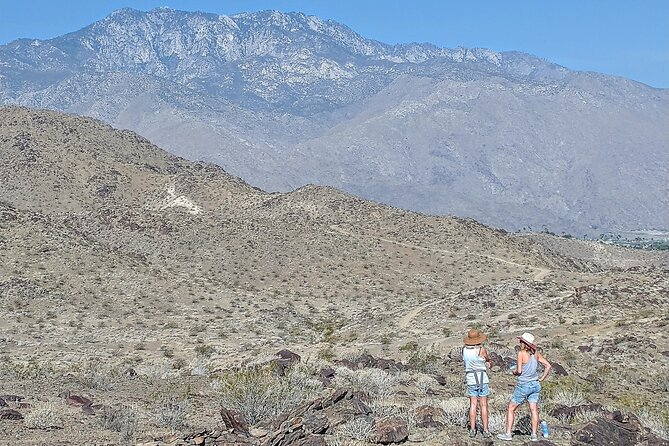 Palm Springs Hike to an Oasis and Amazing Desert Views - Climbing for Coachella Valley views