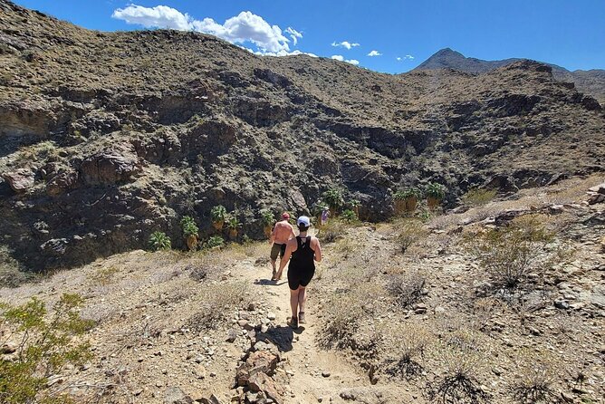 Palm Springs Hike to an Oasis and Amazing Desert Views - Carlos as your guide